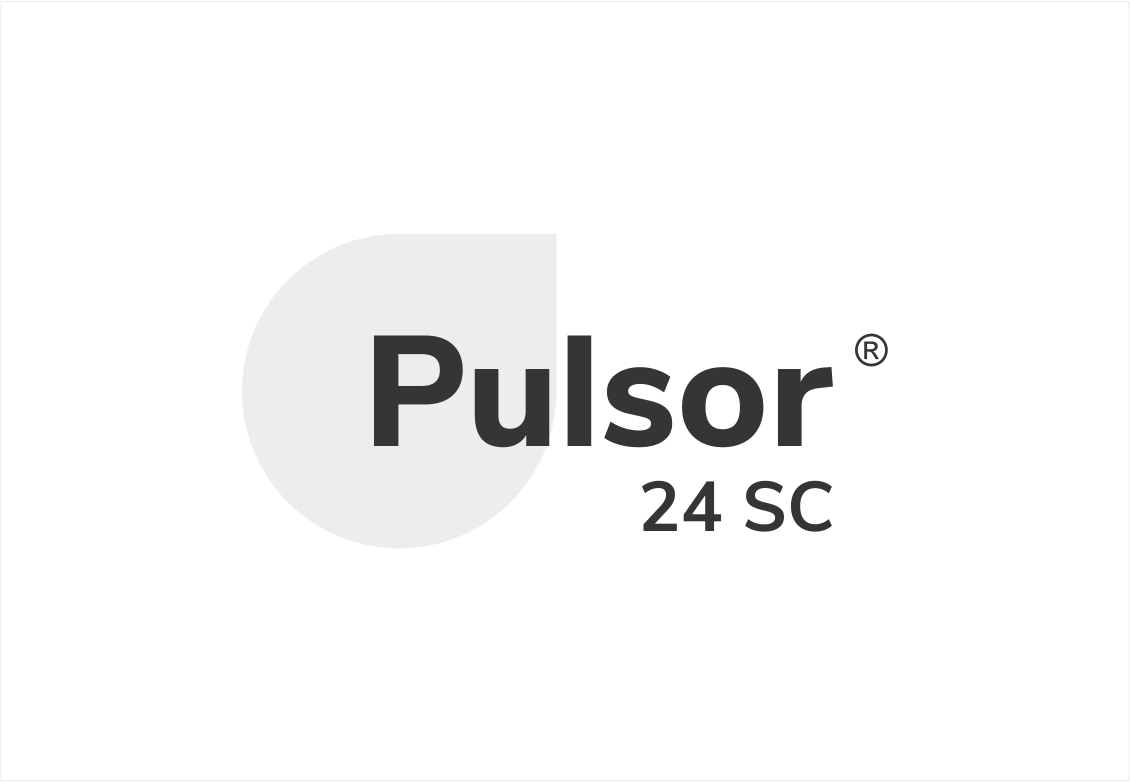 PULSOR ®